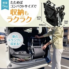 EcoCa エコカ 折りたたみ ショッピングカート キャリーカート ブラックの画像