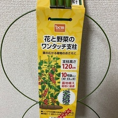 農業用　支柱　ポールの画像