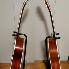 Morris MW-80 オール単板 モーリス アコースティックギター アコギの画像