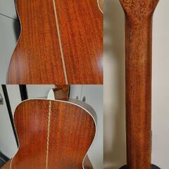 Morris MW-80 オール単板 モーリス アコースティックギター アコギの画像