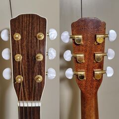 Morris MW-80 オール単板 モーリス アコースティックギター アコギの画像