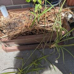 植木鉢　四角2つ　丸一つの画像