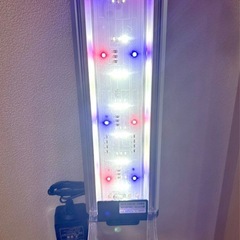 ⭐︎30㎝水槽セット 上部フィルター ライト他の画像