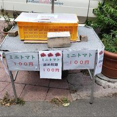 ミニトマト詰め放題100円の画像