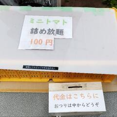 ミニトマト詰め放題100円の画像