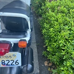 ズーマー　自賠責付きの画像