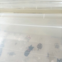 大型　クリア収納ケース2点セットの画像