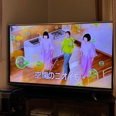 テレビ
の画像