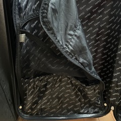 キャリーバッグの画像