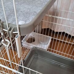 キャットケージの画像