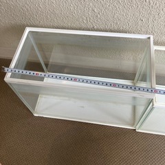 GEX  水槽　プラスチックの画像