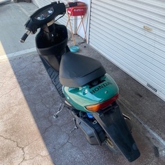 HONDA ライブディオAF34の画像