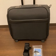 1回使用　ACEのカバンの画像