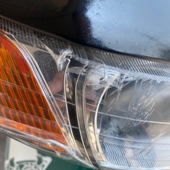 HONDA ライブディオAF34の画像
