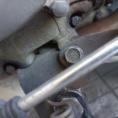 rの画像