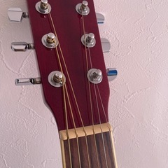 【ギター&ケース他】Vanguard VFG-01 RDSの画像