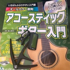 【ギター&ケース他】Vanguard VFG-01 RDSの画像