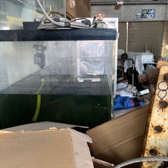 【超特大】180cmガラス水槽 圧巻サイズ！アクアリウム本気仕様の画像