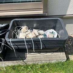 メダカ飼育容器の画像