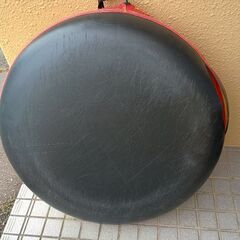 ビッグサイズのチューブソリの画像