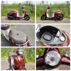 アウトレットセール《HONDA》ジョルノ インジェクション 低走行 600キロ カワイイ 美品 特売の画像