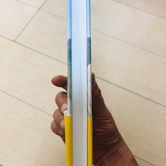 鳥居きみ子の画像