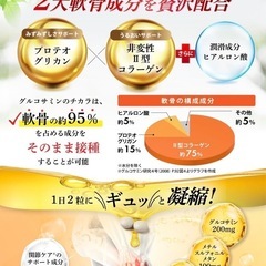 グルコサミンのチカラ　60錠の画像