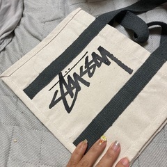 ステューシーセットの画像
