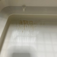 うさぎ　ケージ　オートフィーダー　餌　チモシーの画像
