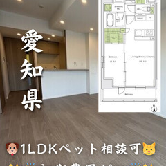 【初期費用ゼロ🙌】愛知県名古屋市 1LDK 家賃11.8万…