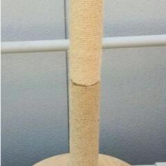 猫砂　爪とぎの画像
