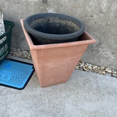 植物鉢　バケットの画像