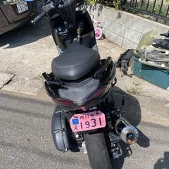 シグナスグリファスの画像