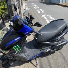 シグナスグリファスの画像