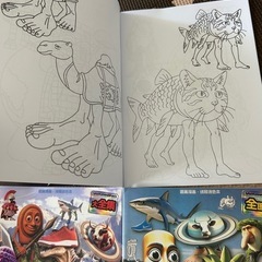 新品🌟塗り絵の画像