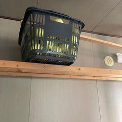 テニスボール　の画像