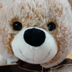 0814-091 くまぬいぐるみの画像