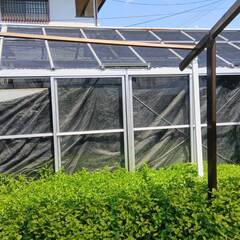 温室の画像