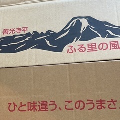 長野県産　新りんご　一箱　10玉　1000円の画像