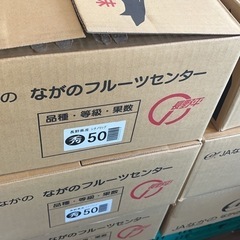長野県産　新りんご　一箱　10玉　1000円の画像