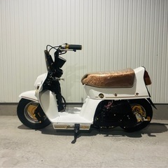 ホンダスカッシュローダウンカスタムの画像