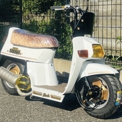 ホンダスカッシュローダウンカスタムの画像