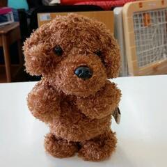 0814-154 ものまねトイプードル
