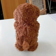 0814-154 ものまねトイプードルの画像