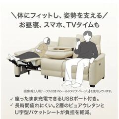 ニトリ　Nビリーバ3 電動リクライニングソファーの画像
