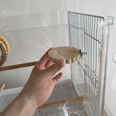 小鳥のグッズの画像