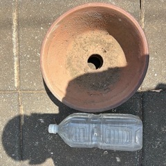 中古花用鉢2の画像