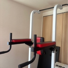 IROTEC&ディップスタンド 懸垂器具の画像