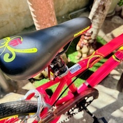 mongoose BMX 20インチの画像