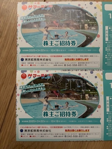 東京サマーランド　1Dayパス　フリーパス　株主優待招待券　②